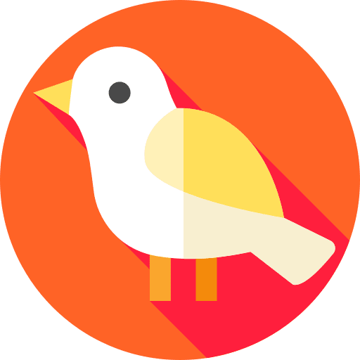 Bird bird animals zoo icon
