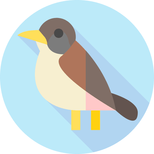 Bird bird ornithology zoo icon