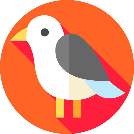 Bird ornithology bird animals icon