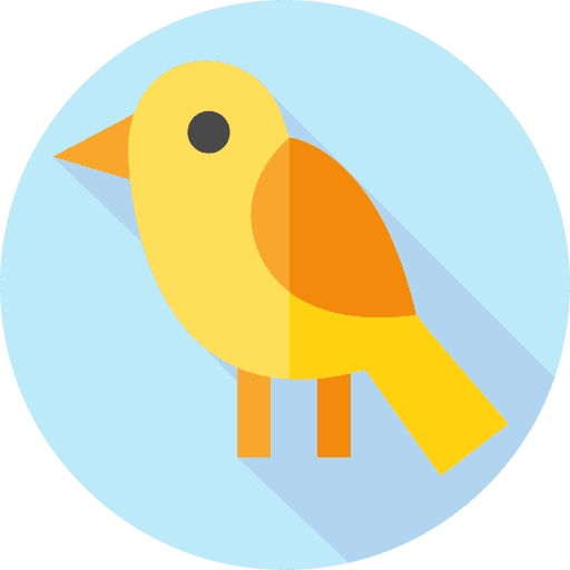 Canary bird zoo canary icon