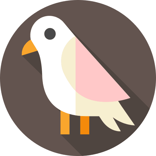 Cheese zoo bird animals icon