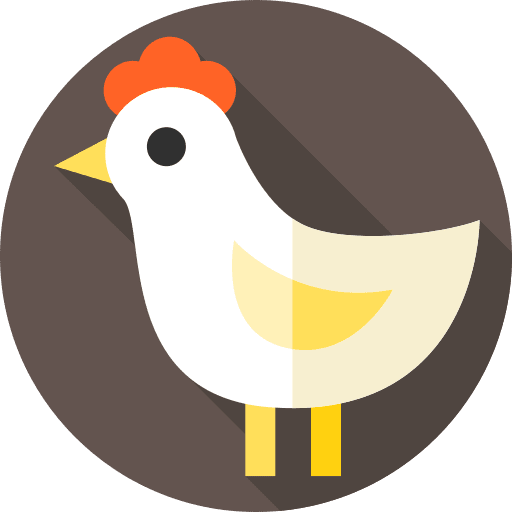 Chicken animals zoo chicken icon