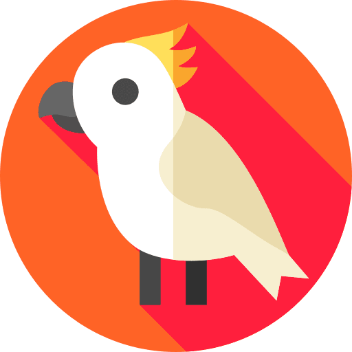 Cockatoo animals cockatoo bird icon
