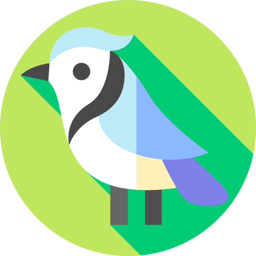 Corvid animals zoo bird icon