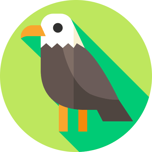 Eagle zoo animals bird icon