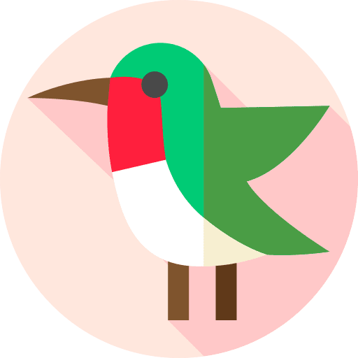 Humming bird bird humming bird zoo icon