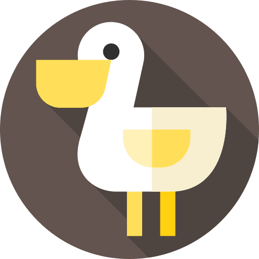 Pelican zoo animals pelican icon