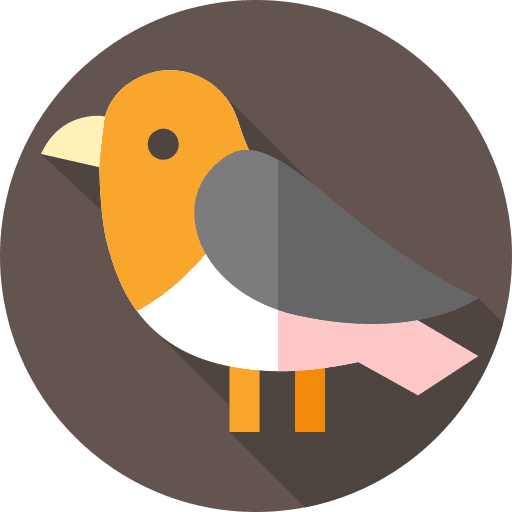Bird bird animals zoo icon