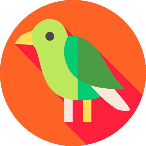 Bird bird zoo ornithology icon