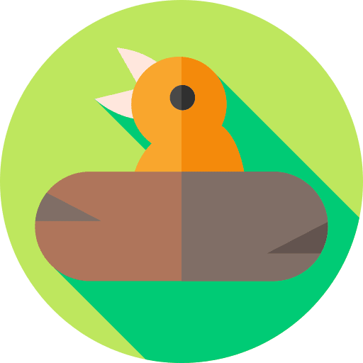 Bird nest animals bird icon