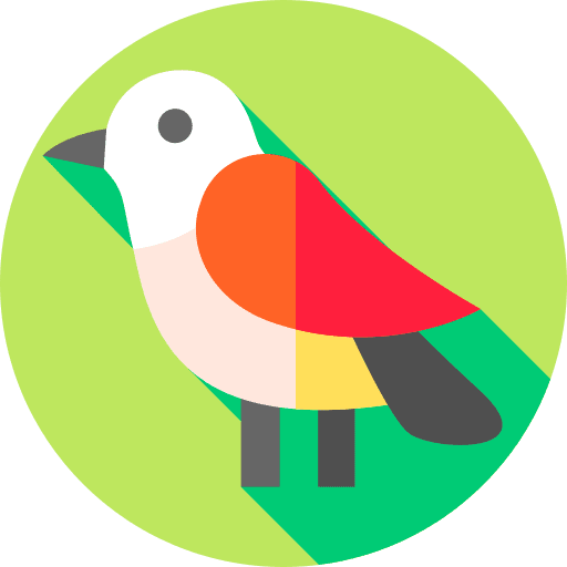 Bird ornithology animals bird icon