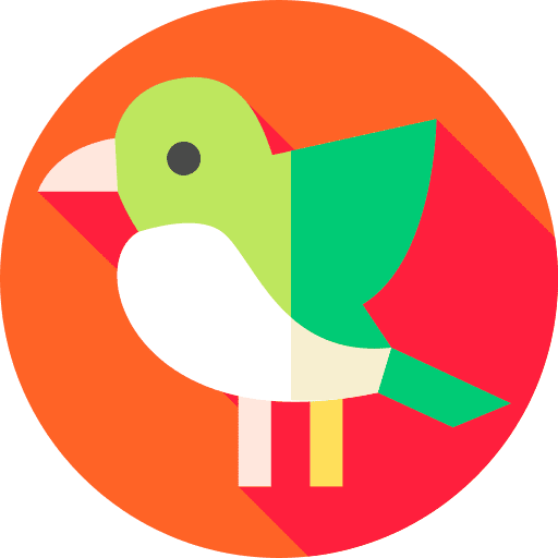 Bird ornithology bird zoo icon