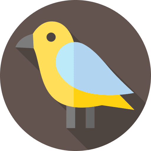 Bird zoo animals ornithology icon