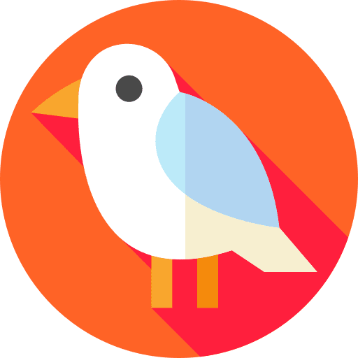 Bird zoo bird animals icon