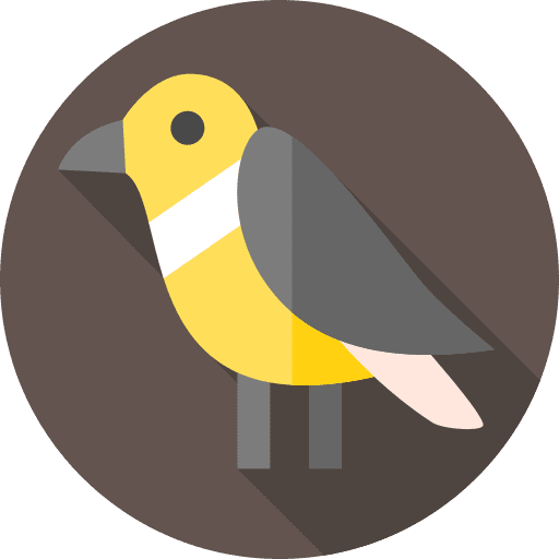 Bird zoo ornithology animals icon
