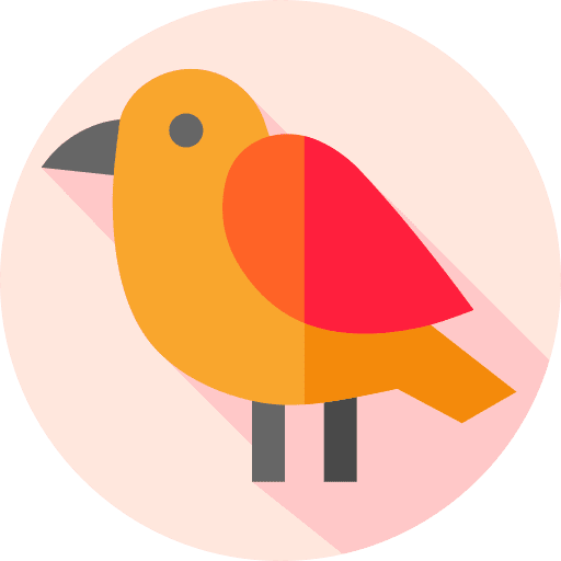 Bird zoo ornithology bird icon