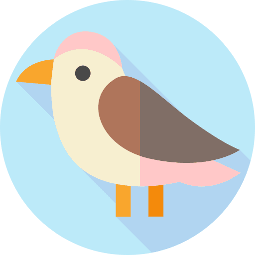 Humming bird humming bird zoo bird icon