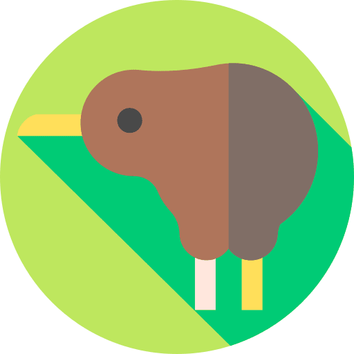 Kiwi kiwi animals ornithology icon
