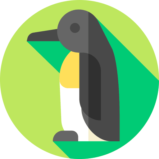 Penguin zoo bird penguin icon