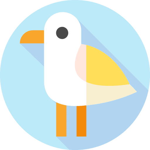 Seagull zoo bird seagull icon
