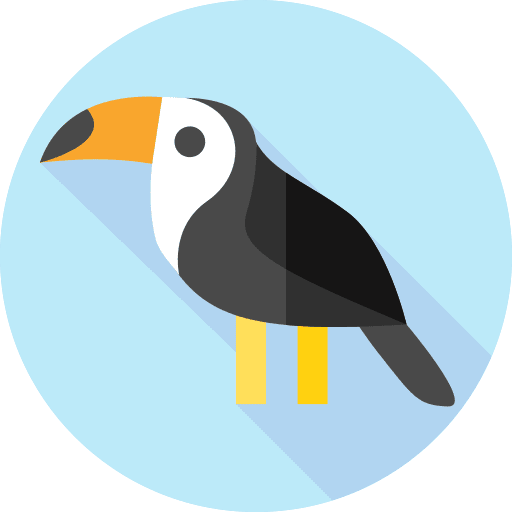 Toucan ornithology toucan bird icon