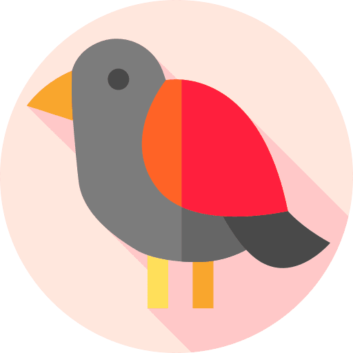 Bird animals ornithology bird icon