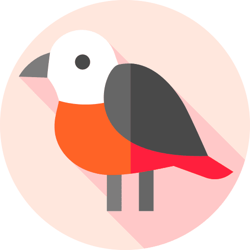 Bird zoo bird ornithology icon