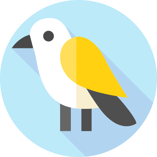 Bird zoo ornithology animals icon