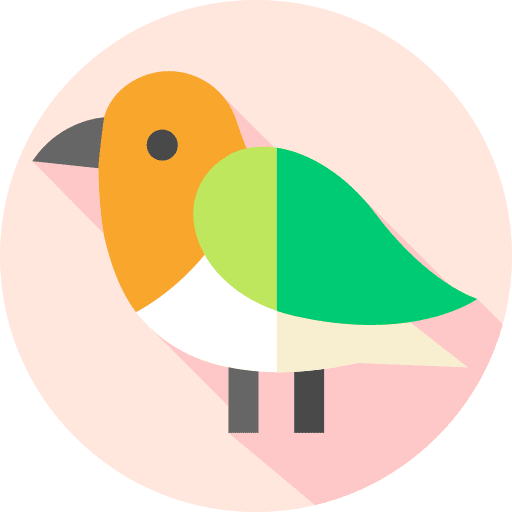 Bird zoo ornithology animals icon