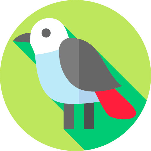 Bird zoo ornithology bird icon