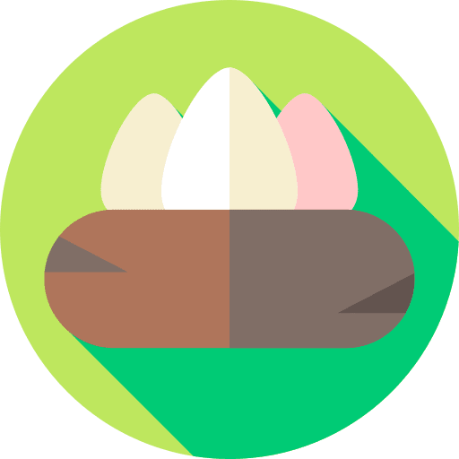 Eggs bird nest eggs icon