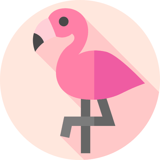 Flamingo bird animals zoo icon