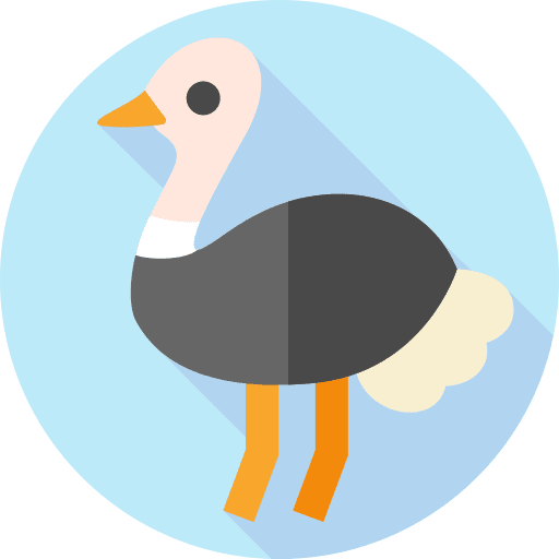 Ostrich ornithology bird zoo icon