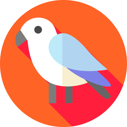 Parrot bird parrot animals icon