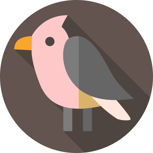 Skylark animals zoo bird icon