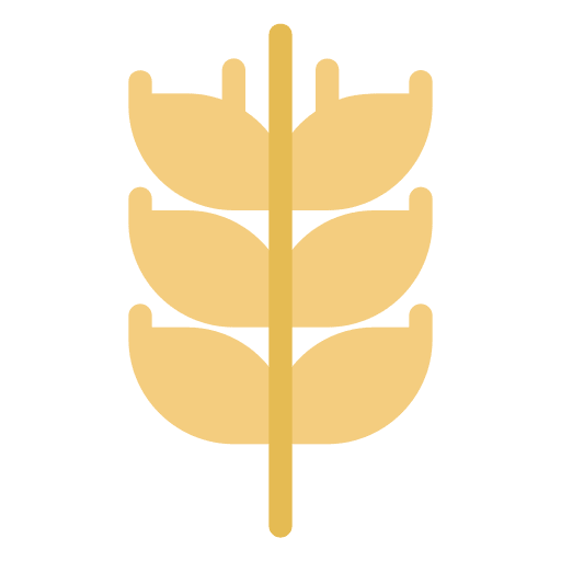 Grain harvest plant wheat icon