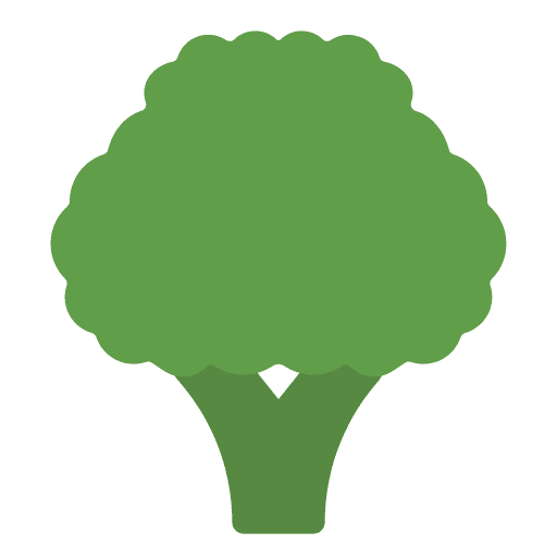 Broccoli healthy food vegetable organic icon