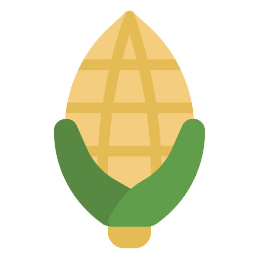 Corn agriculture harvest farm icon