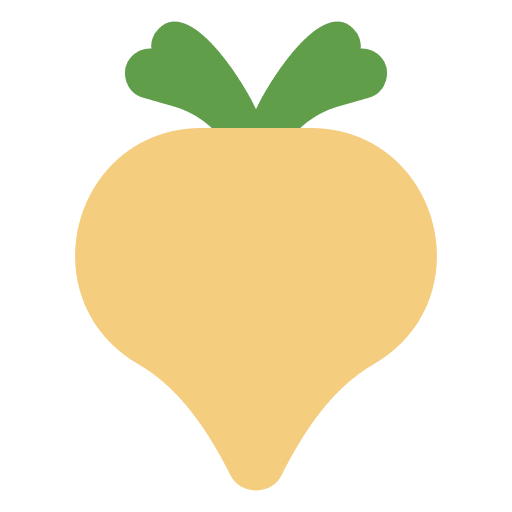 Radish radish healthy food vegetarian icon