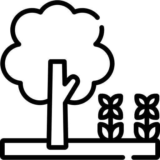 Garden park tree outside icon