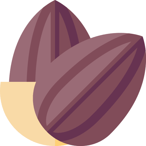 Almonds vegetarian vegan dried fruit icon