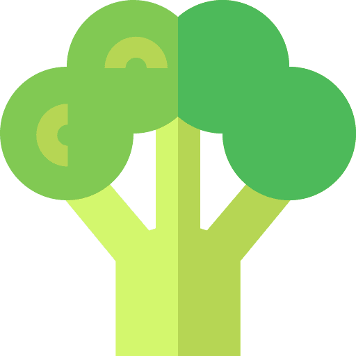 Broccoli broccoli healthy food vegan icon