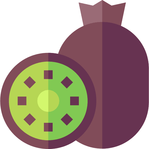 Kiwi kiwi fruit food icon