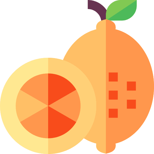 Lemon slice fruit lemon icon