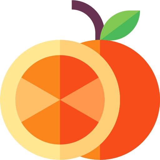 Orange food vegetarian orange icon