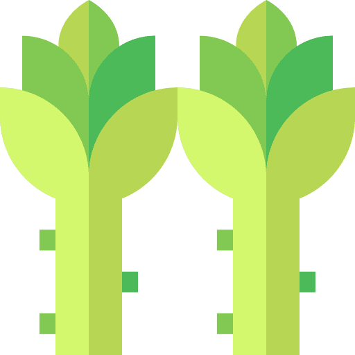 Asparagus asparagus vegetarian healthy food icon