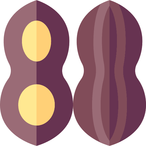 Peanuts snack organic vegan icon