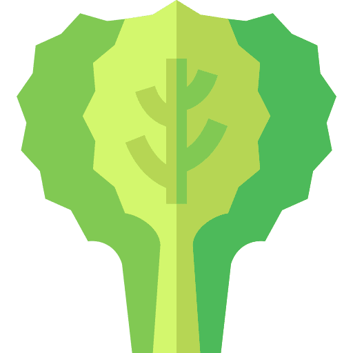 Spinach organic vegetarian healthy food icon