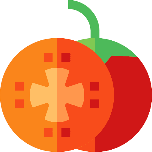 Tomato tomato vegan healthy icon