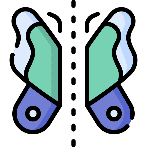 Symmetry photography composition design icon